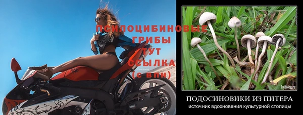 а пвп мука Кукмор