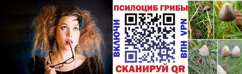 продажа наркотиков  Каспийск  Псилоцибиновые грибы Magic Shrooms 