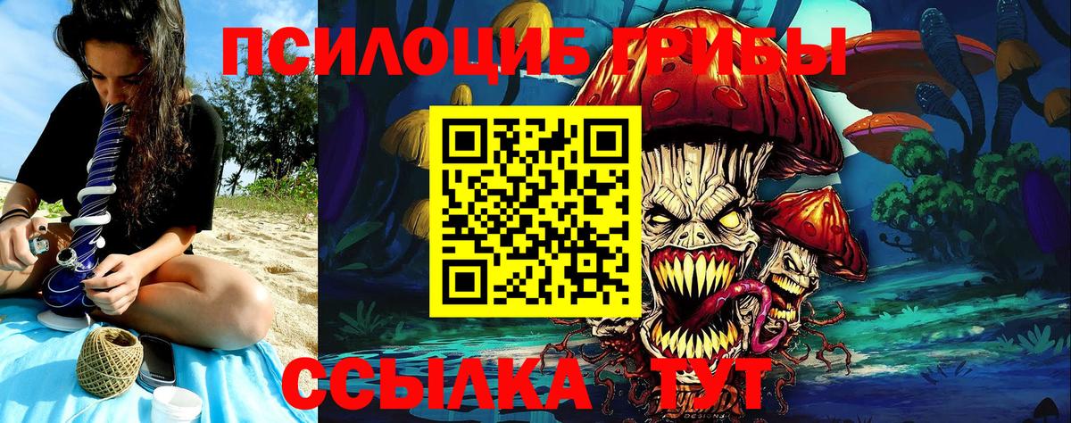 Псилоцибиновые грибы MAGIC MUSHROOMS  Каспийск  Псилоцибиновые грибы мухоморы 