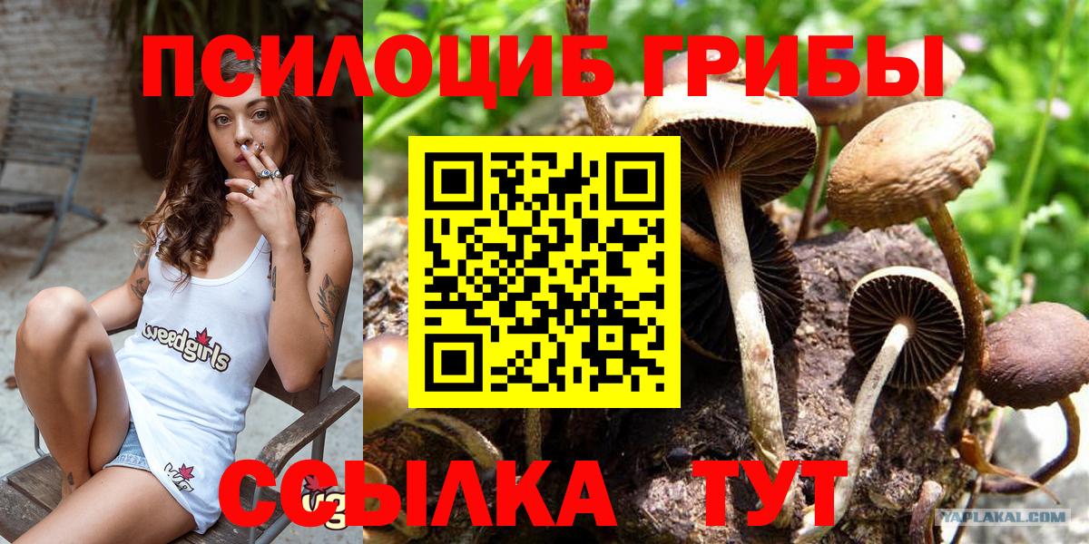 Каспийск  Галлюциногенные грибы Magic Shrooms  Галлюциногенные грибы ЛСД  Вход с VPN 